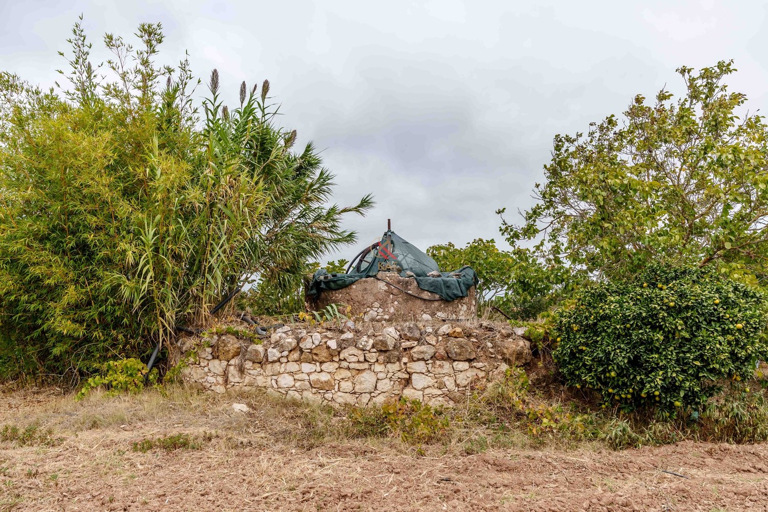 Propriedade à Venda na Figueira