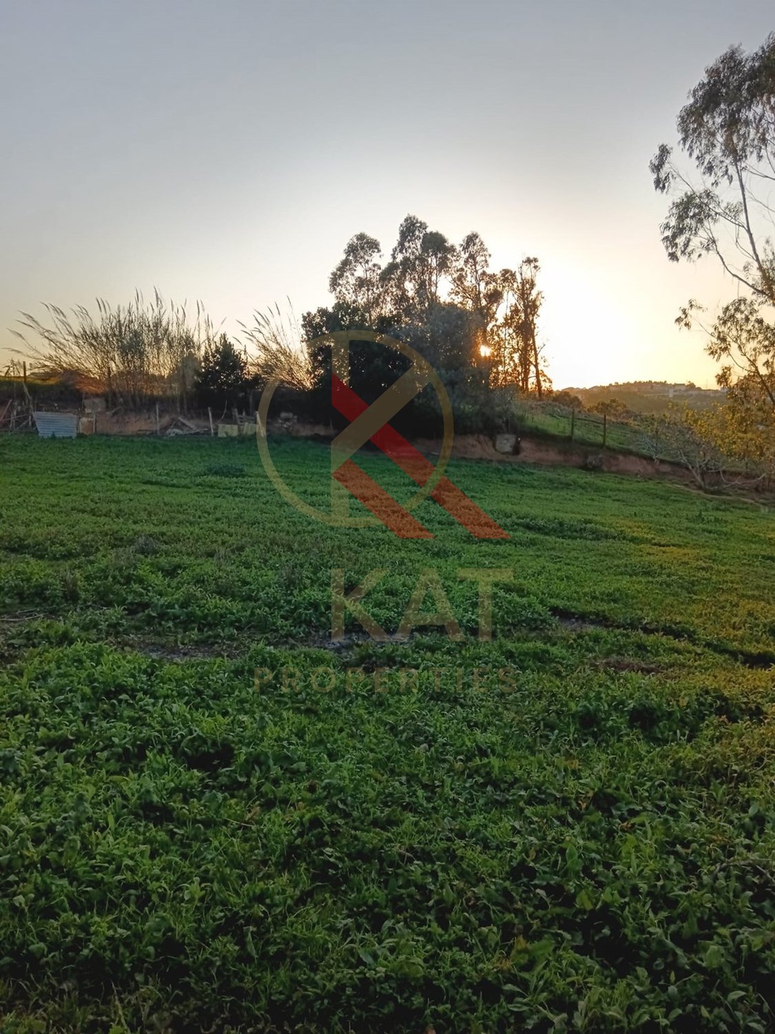 Moradia T4 + 2 Terrenos na Cabeça Gorda, Lourinhã