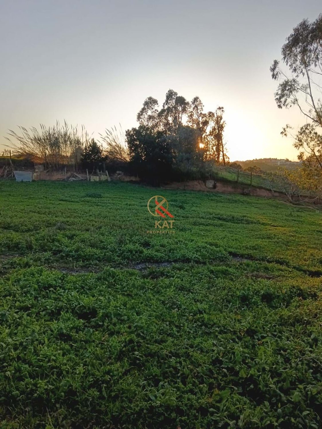 Moradia T4 + 2 Terrenos na Cabeça Gorda, Lourinhã