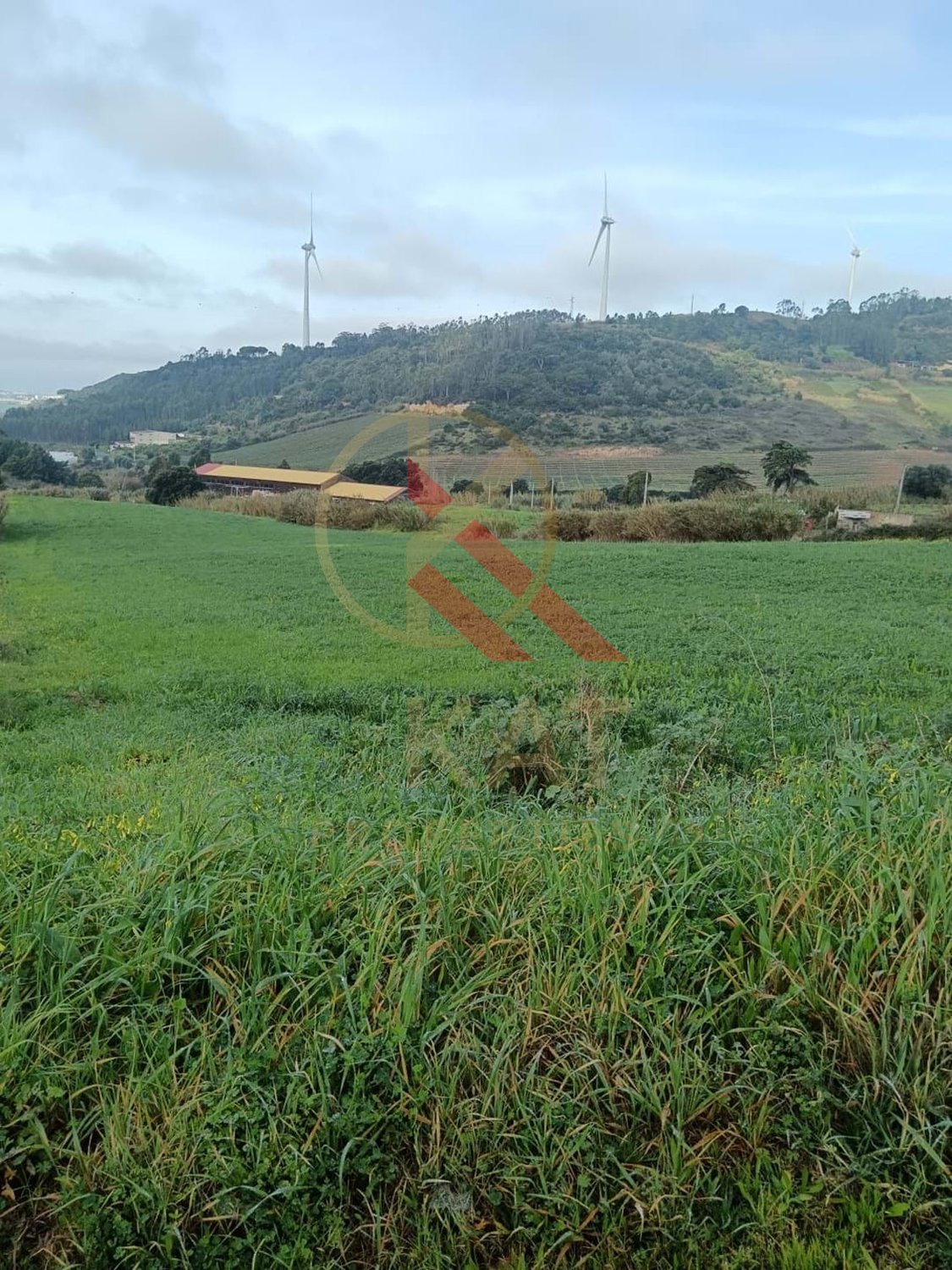 Terreno Industrial com 23.000 m² e localização privilegiada à venda em Torres Vedras 