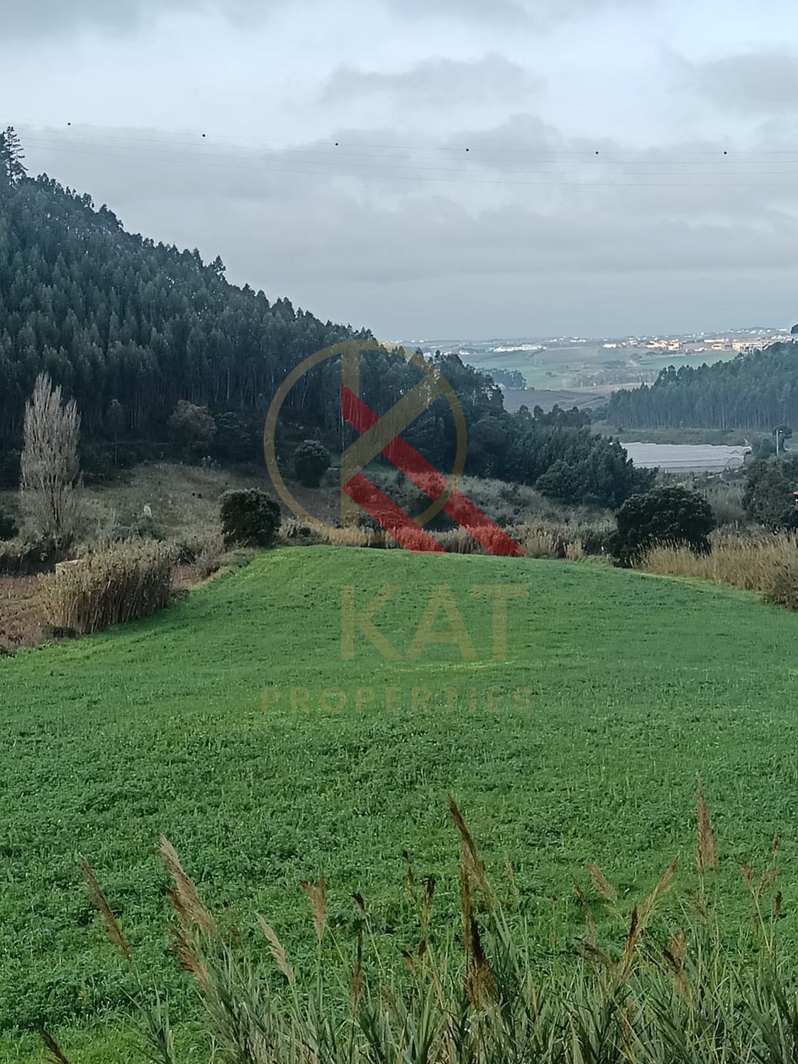 Terreno Industrial com 23.000 m² e localização privilegiada à venda em Torres Vedras 