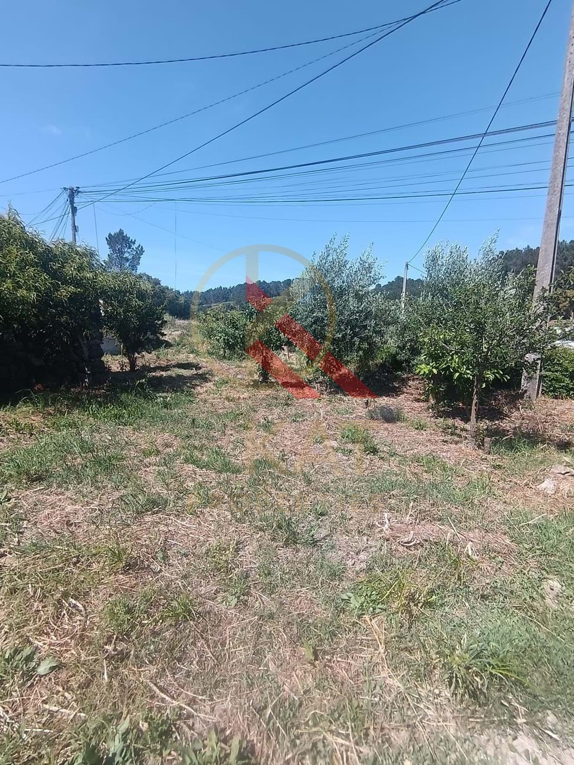 Terreno Urbano à Venda na Freixeira – Loures | 205 m²