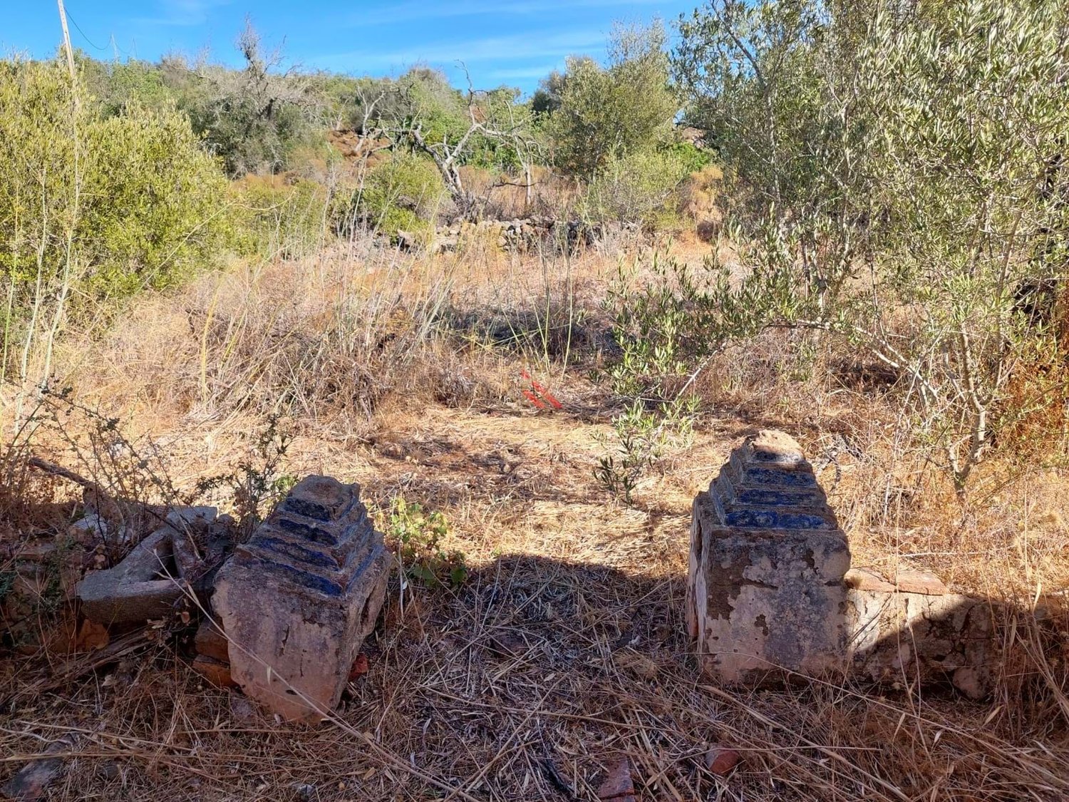 Terreno com Ruínas - Oportunidade em Silves perto da barragem do Arade