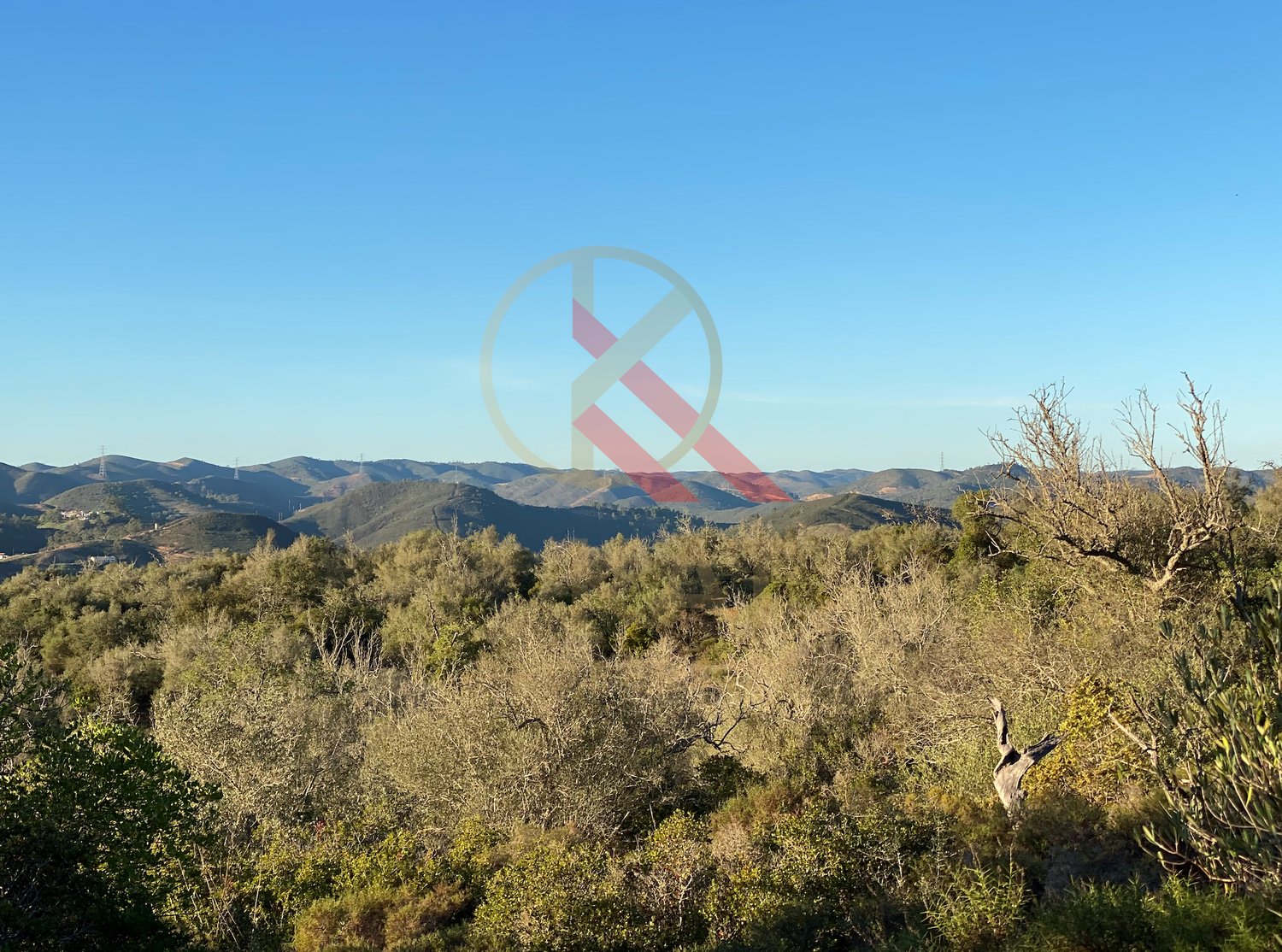 Terreno com Ruínas - Oportunidade em Silves perto da barragem do Arade
