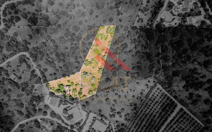 Terreno com Ruínas - Oportunidade em Silves perto da barragem do Arade