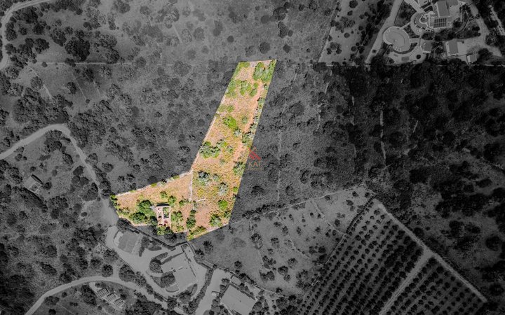 Terreno com Ruínas - Oportunidade em Silves perto da barragem do Arade